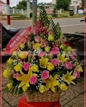 Đông Sang - belovedbeyond.com