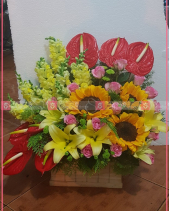 Sắc Hương - belovedbeyond.com