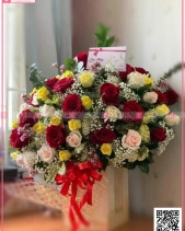 Khởi Sắc - belovedbeyond.com