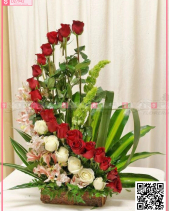 Chiến Thắng - belovedbeyond.com