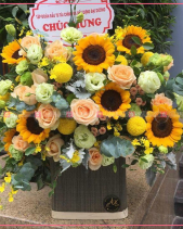 Sức Sống - belovedbeyond.com