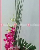 Rực Rỡ - belovedbeyond.com