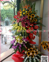 Sức Sống - belovedbeyond.com