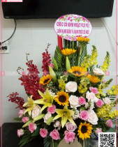 Đông Sang - belovedbeyond.com