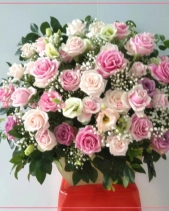 Sắc Hương - belovedbeyond.com