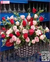 Tình Đầu - belovedbeyond.com