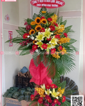 Chắp Cánh - belovedbeyond.com