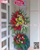 Tươi Sáng - belovedbeyond.com