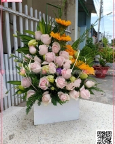 May Mắn - belovedbeyond.com