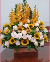May Mắn - belovedbeyond.com