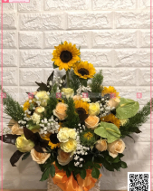 Hy Vọng - belovedbeyond.com