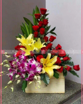 Rực Rỡ - belovedbeyond.com