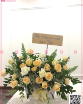 Tình Đầu - belovedbeyond.com