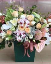 Rực Rỡ - belovedbeyond.com