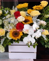 Tươi Sáng - belovedbeyond.com