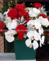 May Mắn - belovedbeyond.com