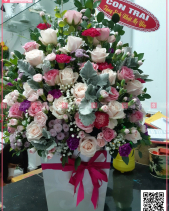 Khởi Sắc - belovedbeyond.com