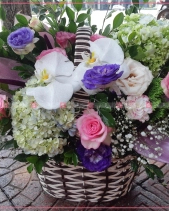 Sức Sống - belovedbeyond.com