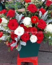 Tươi Sáng - belovedbeyond.com