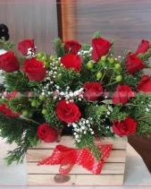 May Mắn - belovedbeyond.com