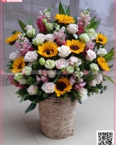 Biết Ơn - belovedbeyond.com