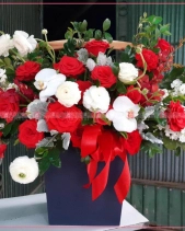 Khởi Sắc - belovedbeyond.com