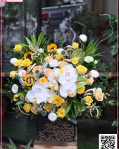 May Mắn - belovedbeyond.com