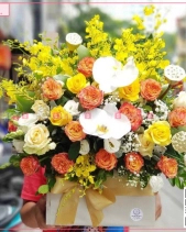 Thành Công - belovedbeyond.com