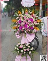 May Mắn - belovedbeyond.com