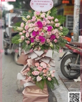 Khởi Sắc - belovedbeyond.com