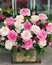 Bình An - belovedbeyond.com