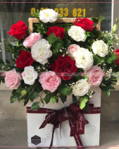 Bình An - belovedbeyond.com