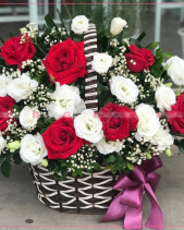 Tươi Mới - belovedbeyond.com