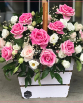 May Mắn - belovedbeyond.com