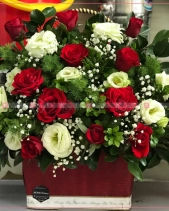 Tươi Xanh - belovedbeyond.com