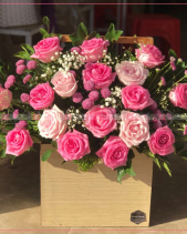 Mạnh Mẽ - belovedbeyond.com