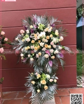 Sức Sống - belovedbeyond.com