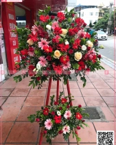 Chắp Cánh - belovedbeyond.com
