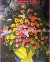 Rực Rỡ - belovedbeyond.com