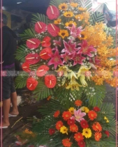 Tươi Sáng - belovedbeyond.com