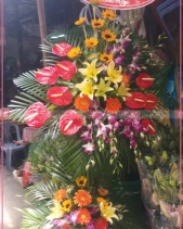 Cảm Ơn - belovedbeyond.com