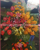 Trọn Vẹn - belovedbeyond.com