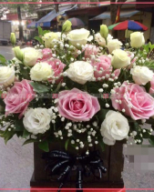 Thu Về - belovedbeyond.com