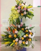 Yêu Thương - belovedbeyond.com