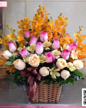 Rực Rỡ - belovedbeyond.com