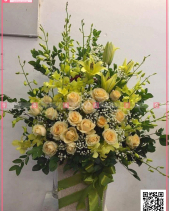 Sớm Mai - belovedbeyond.com