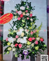 Yêu Thương - belovedbeyond.com