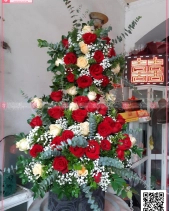 Rực Rỡ - belovedbeyond.com