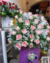 Sớm Mai - belovedbeyond.com