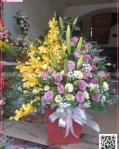 Xinh Xắn - belovedbeyond.com